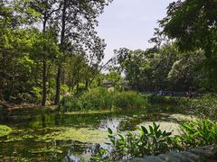 -白水寺森林公园