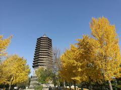 -玲珑塔公园