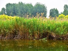-淇河国家湿地公园