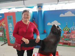 -成都浩海立方海洋公园