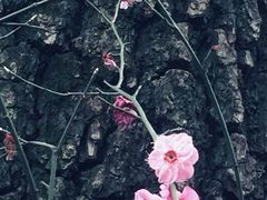 -思南公馆