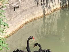-棕榈岛海鲜自助餐厅(虹桥迎宾馆店)