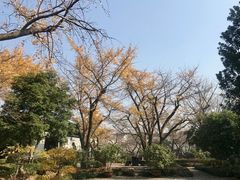 -东山雕花楼