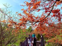 -南京市江宁方山