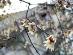 -上海大学(嘉定校区)