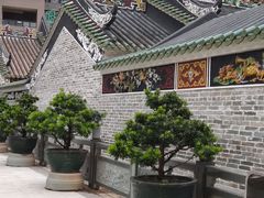 -杨箕村B区
