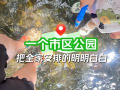-成都市活水公园