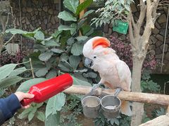 -南宫五洲植物乐园