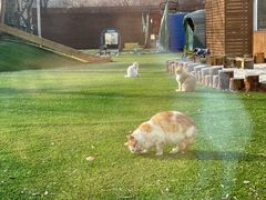 -美联众合24小时·皮肤科·外科·全科诊疗中心(华苑分院)