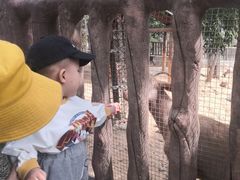 -石家庄市动物园