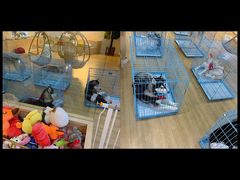 -Husky Go! 哈士奇体验馆·宠物咖啡厅狗咖