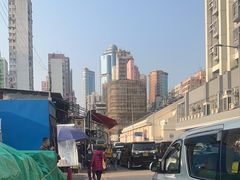 -油麻地果栏
