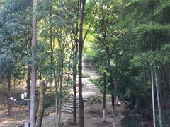 -仙霞关景区