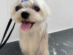 -北京恒爱动物医院(清景园分院)