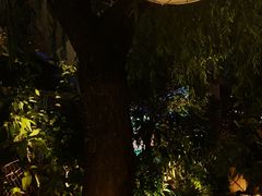 -时光码头民谣公社