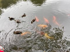 -杭州植物园