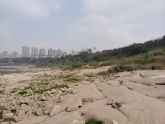 -金海湾滨江公园