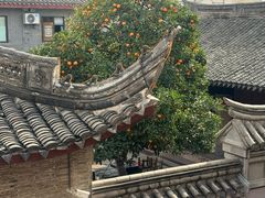 -陈生记黑鱼馆·20年活鱼现杀(宁波鼓楼店)