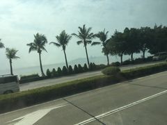 -野狸岛