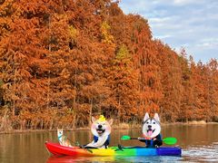 -上海海湾国家森林公园