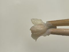 -李刚油条