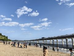 -演武大桥观景平台