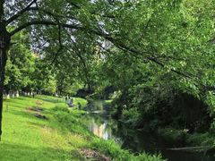 -两河城市森林公园