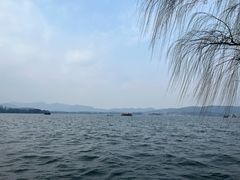 -闻莺馆(柳浪闻莺店)