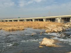 -绿堤公园