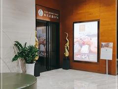 -OMSPA(盛景尚峰店)
