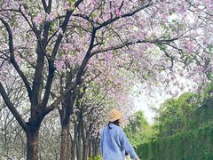 -南丰汇(新港东路店)