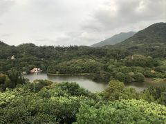 -深圳仙湖植物园