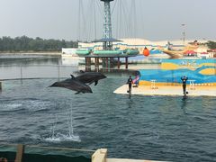 -秦皇岛乐岛海洋王国