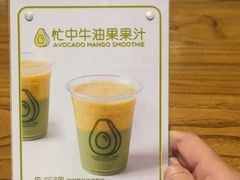 -油梨树 AVOCADO TREE(亮马桥店)