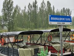 -白洋淀景区