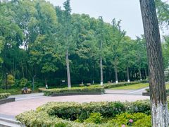 -苏州河梦清园环保主题公园