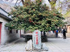 -青岛崂山太清宫