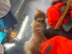 -安吉龙王山峡谷漂流