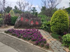 -广州市流溪河国家森林公园