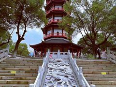 -绳金塔