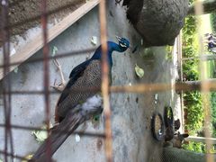 悦华酒店-厦门悦华酒店