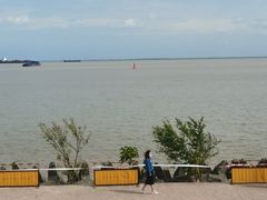 -上海滨江森林公园