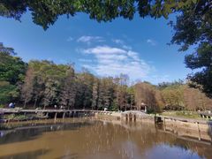 -深圳仙湖植物园