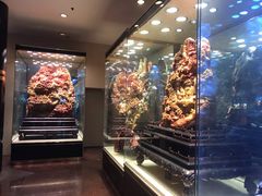 -上海新锦江大酒店