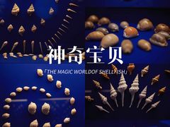 -金沙遗址博物馆