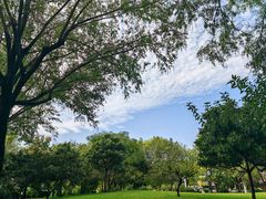 -唐城墙遗址公园