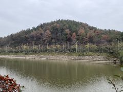 -青龙山国家森林公园