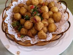 -雅和生态渔庄·宜城锅巴饭(龙灵山公园店)