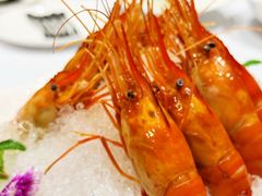 -南麓·浙里(外滩店)