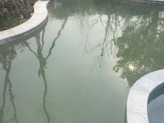 -思念果岭悦温泉